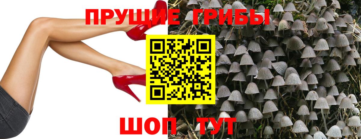 Псилоцибиновые грибы мухоморы Воткинск